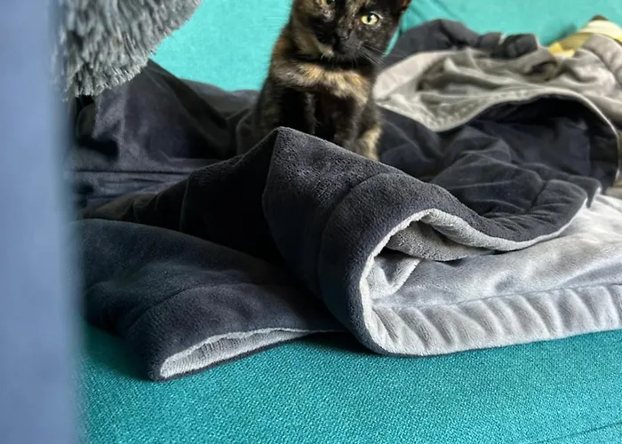 Bed & Breakfast Nomad Ready Ferrel (Leiria)